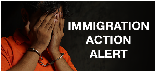 Immigration Action Alert button